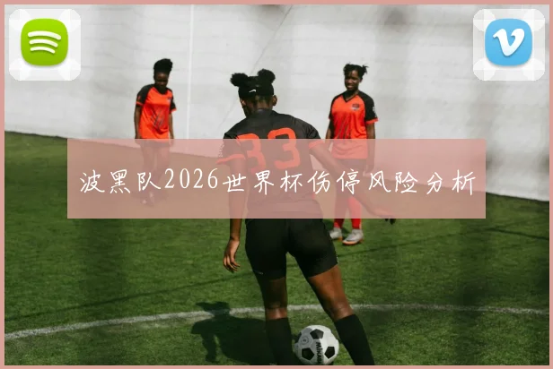 波黑队2026世界杯伤停风险分析