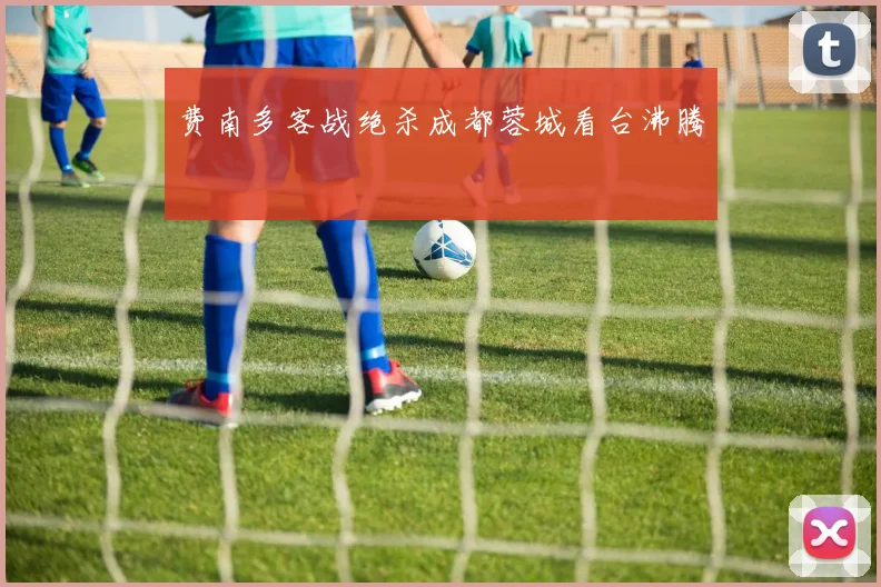 费南多客战绝杀成都蓉城看台沸腾