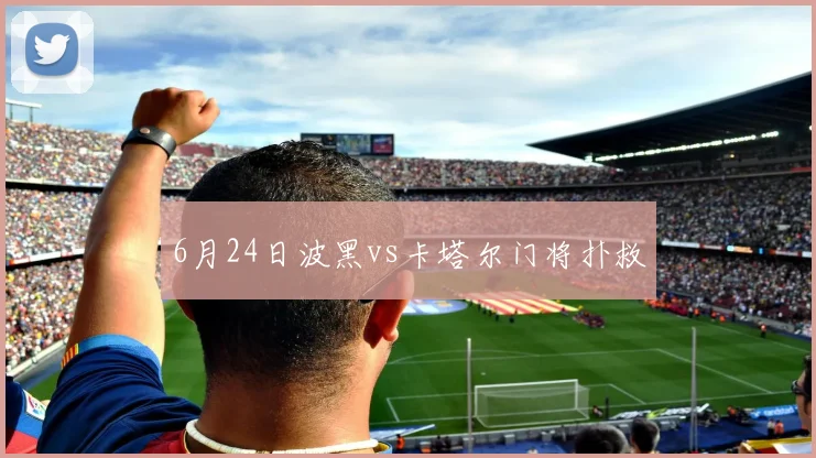 6月24日波黑vs卡塔尔门将扑救