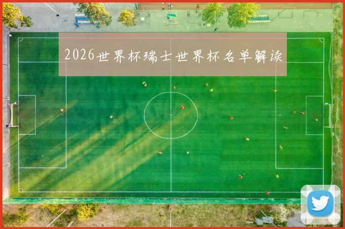 2026世界杯瑞士世界杯名单解读