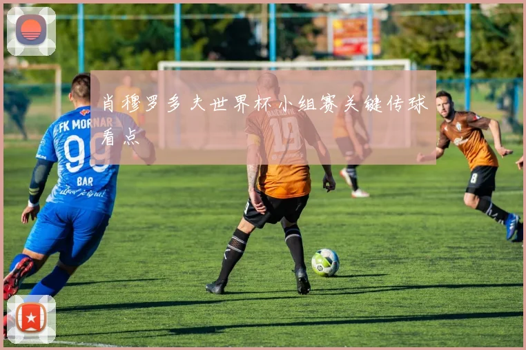 肖穆罗多夫世界杯小组赛关键传球看点