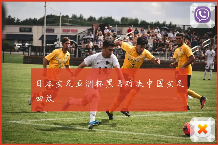 日本女足亚洲杯黑马对决中国女足回放