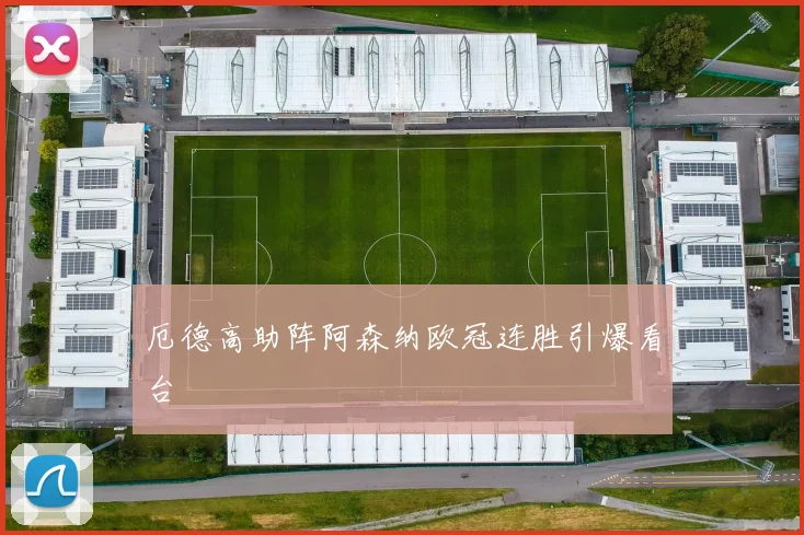 厄德高助阵阿森纳欧冠连胜引爆看台