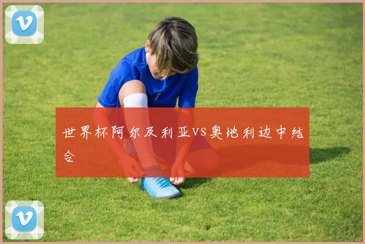 世界杯阿尔及利亚vs奥地利边中结合