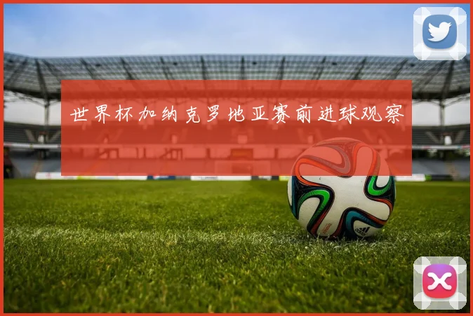 世界杯加纳克罗地亚赛前进球观察