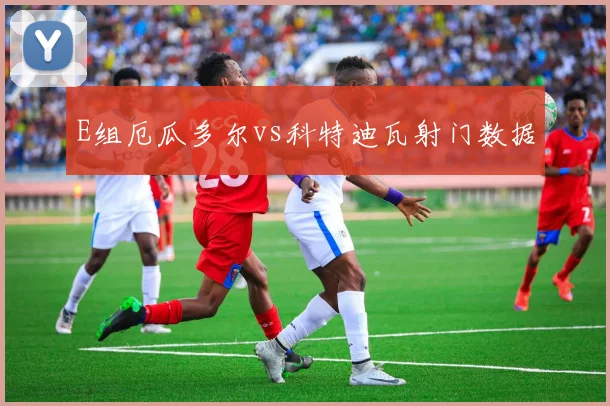 E组厄瓜多尔vs科特迪瓦射门数据